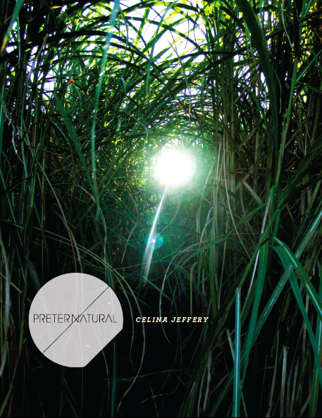 Preternatural (punctum books, 2011)