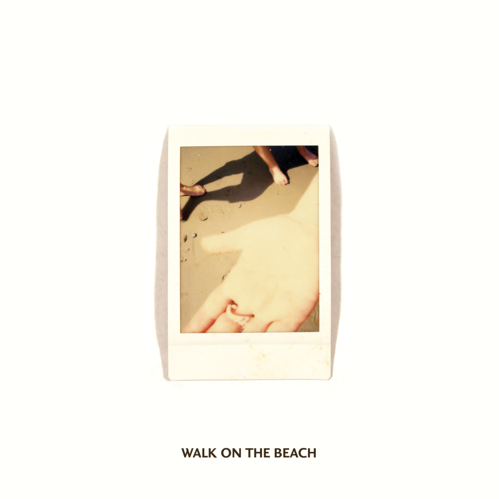 Walk on the Beach: Things from the Sea, Volume 1 (punctum books, 2016)