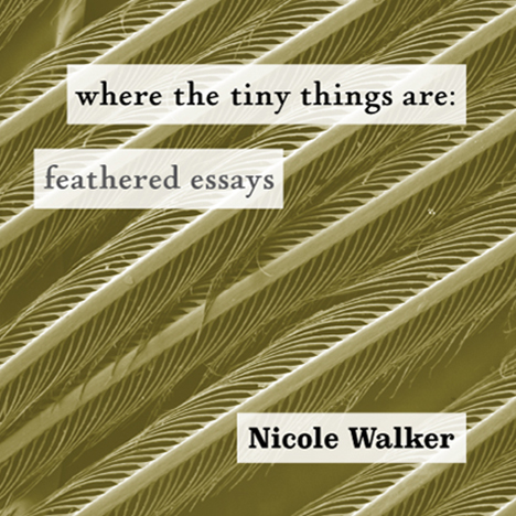 Where the Tiny Things Are: Feathered Essays (punctum books, 2017)