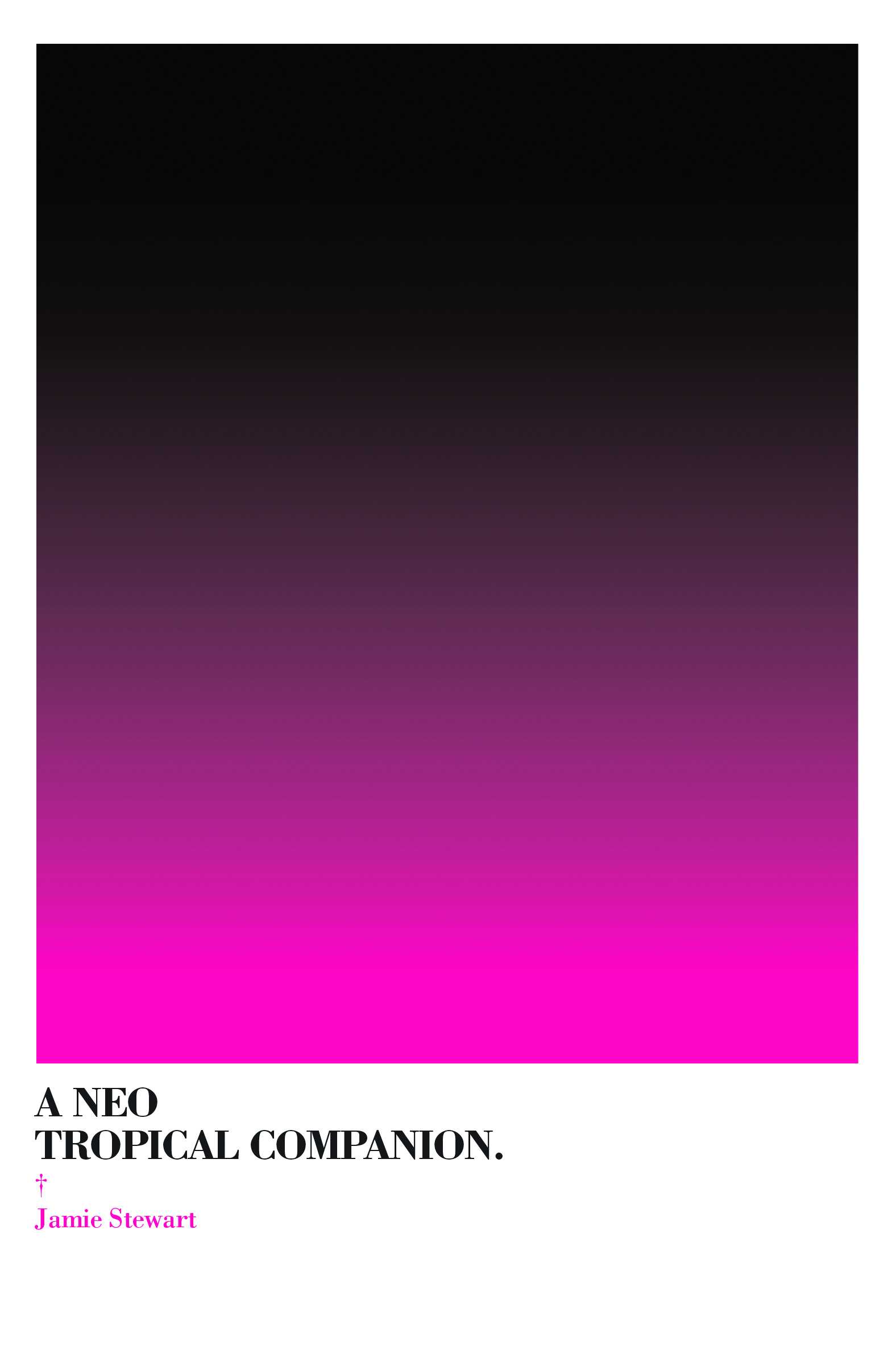A Neo Tropical Companion (punctum books, 2012)