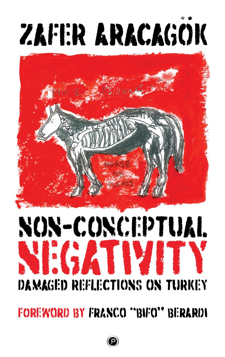 Non-Conceptual Negativity: Damaged Reflections on Turkey