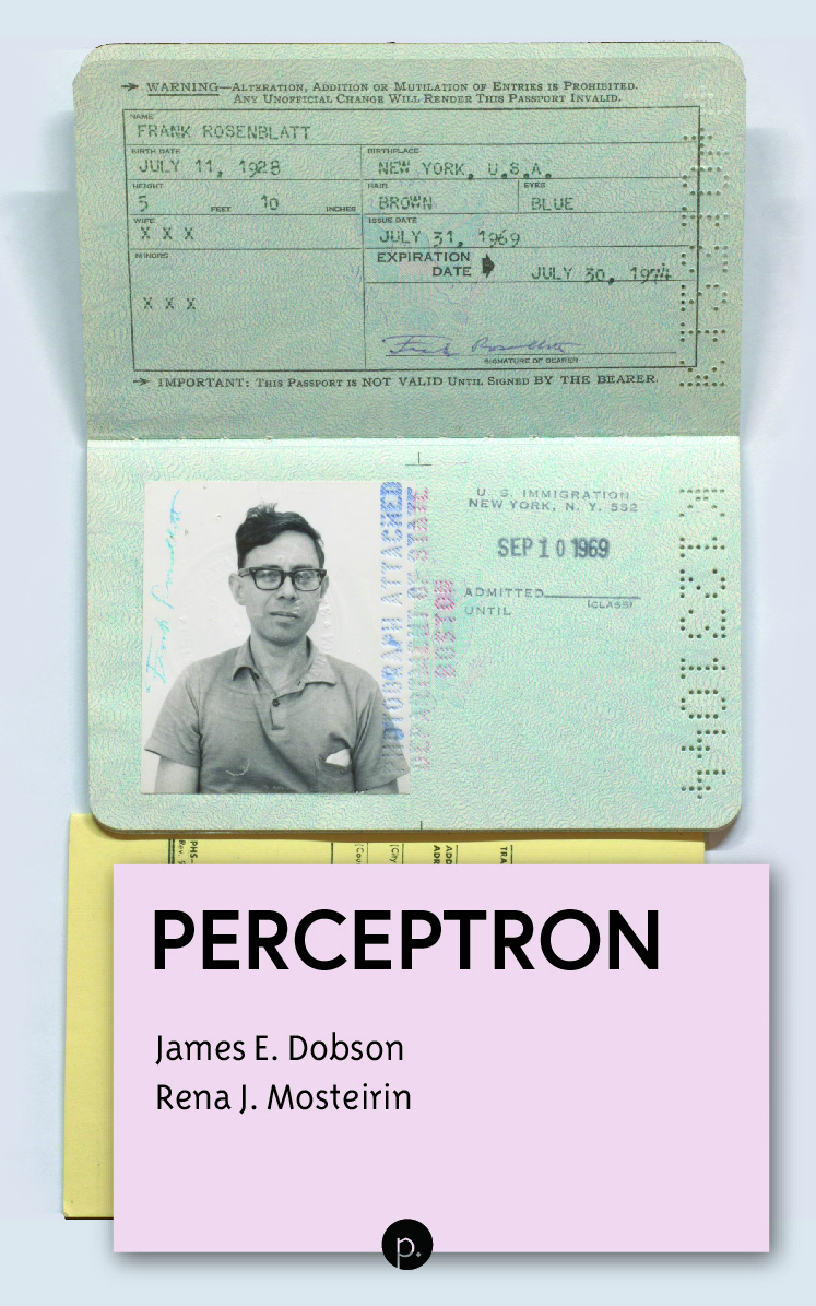 Perceptron (punctum books, 2025)