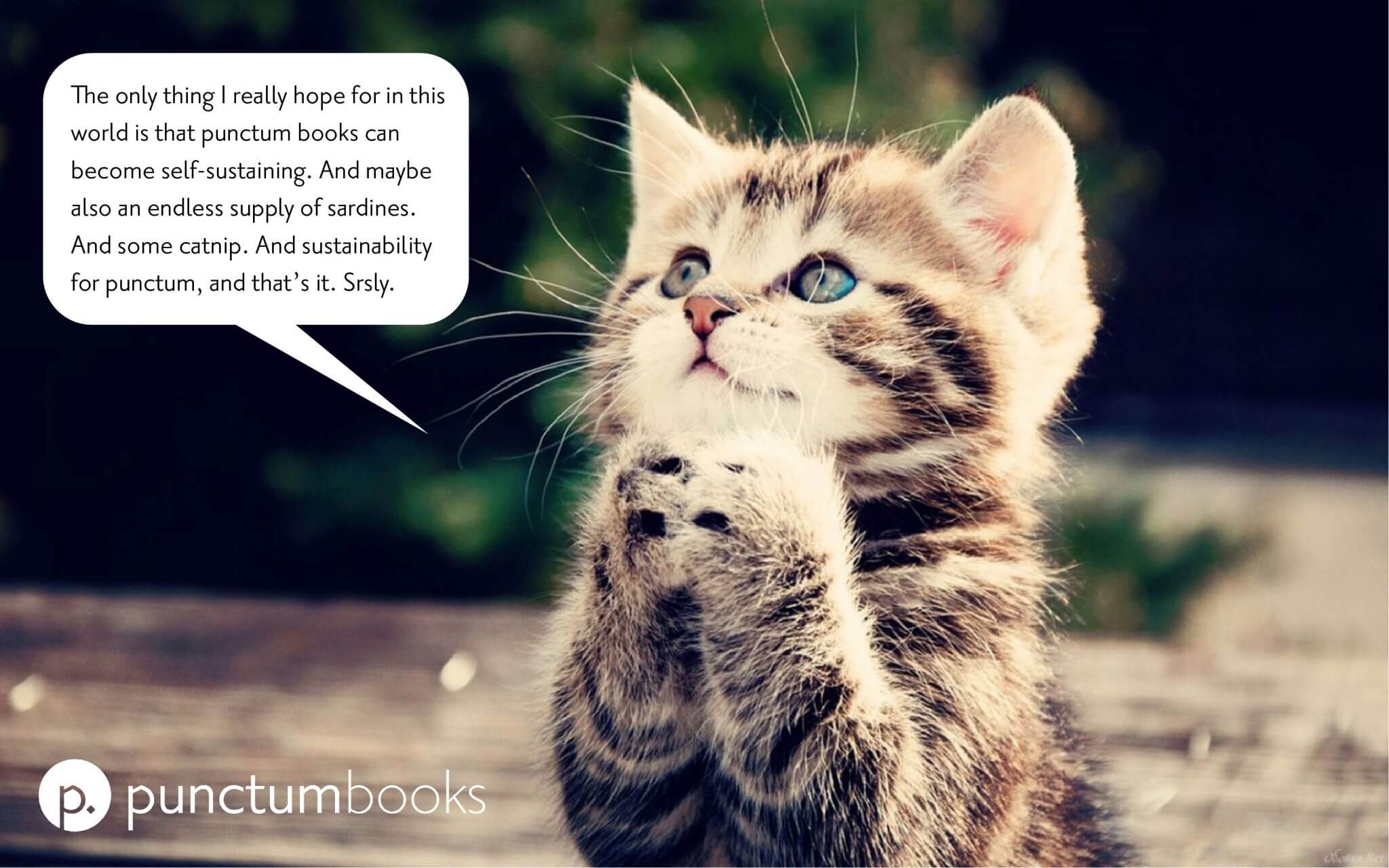 Begging cat